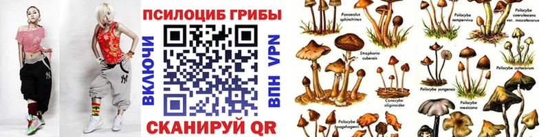 Галлюциногенные грибы MAGIC MUSHROOMS хочу наркоту Тейково