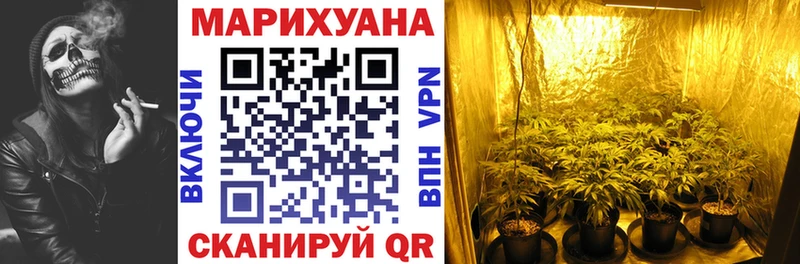 магазин продажи наркотиков  Тейково  Марихуана семена 